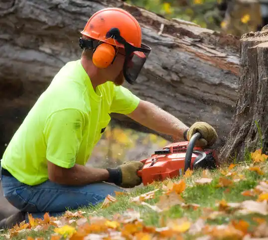 tree services Delano